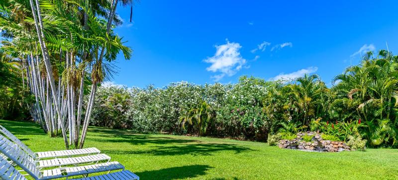Castle At Maui Banyan - image 8