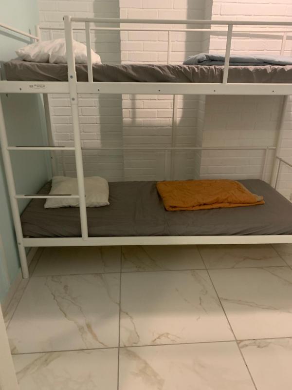 Bunk Bed in Mixed Dormitory Room image 3