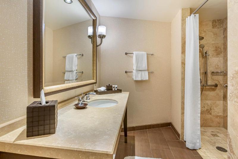 Accessible Deluxe Room with Roll in Shower 1 King Bed image 4