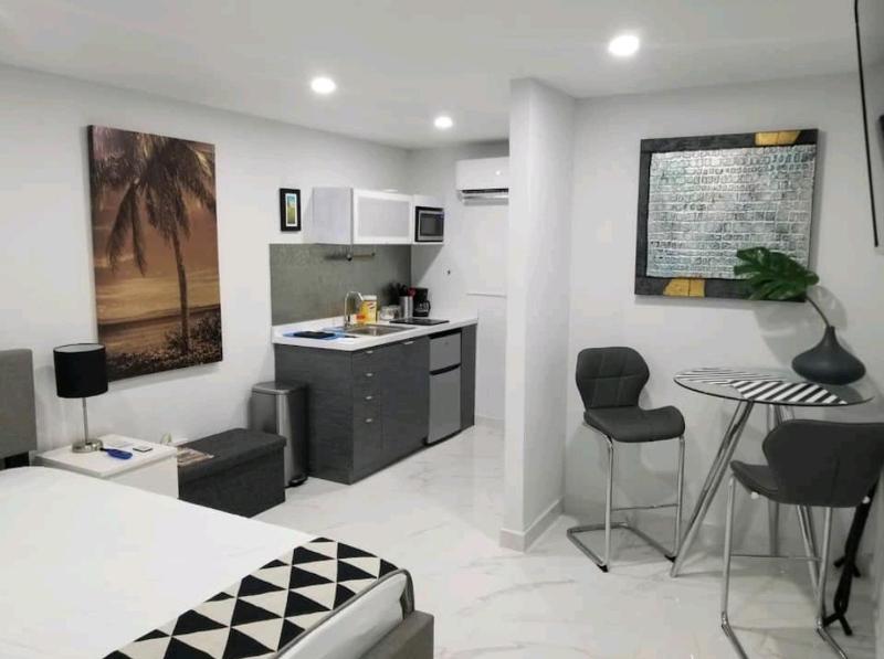 One-Bedroom Apartment image 4