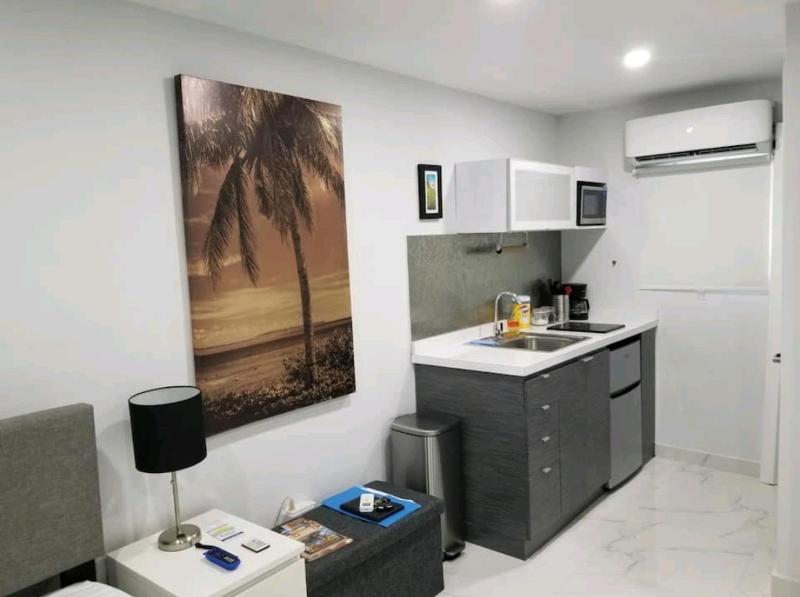 One-Bedroom Apartment image 2