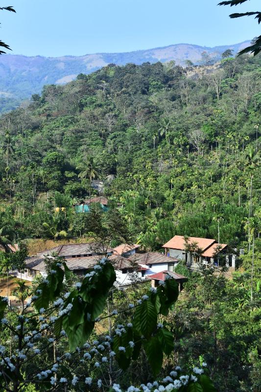 coorg river valley retreat - image 18
