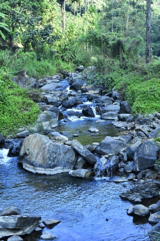 coorg river valley retreat - image 16