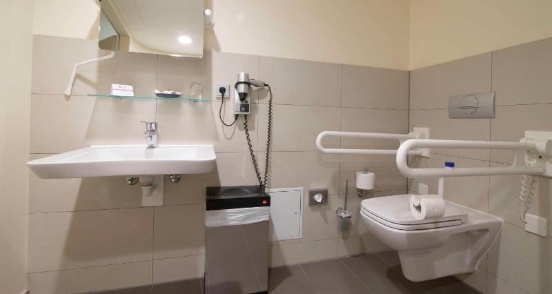 Business Single Room with Roll-In Shower and Adjustable Shower Chair - Mobility Accessible image 4