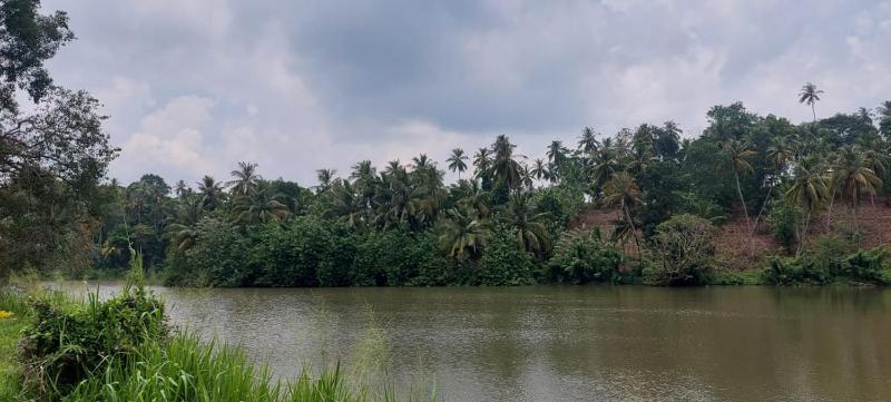 Yaya Estate - image 27