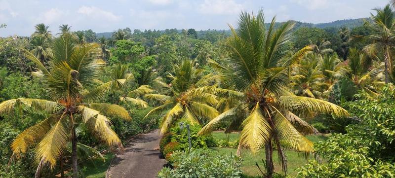 Yaya Estate - image 8