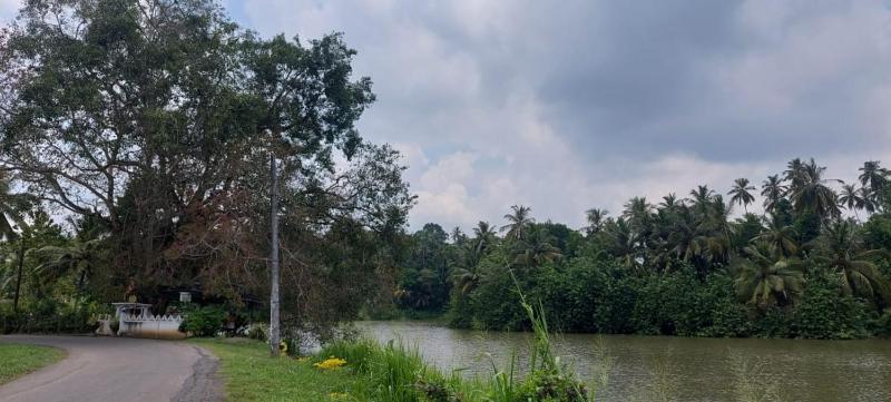 Yaya Estate - image 18