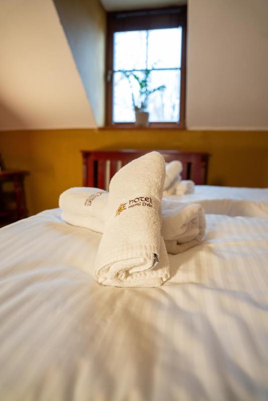 Double Room image 3