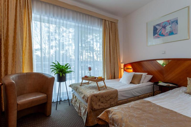 Double or Twin Room image 1