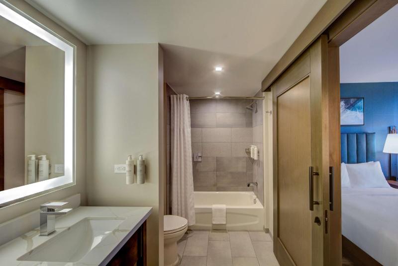 King Studio Suite image 4