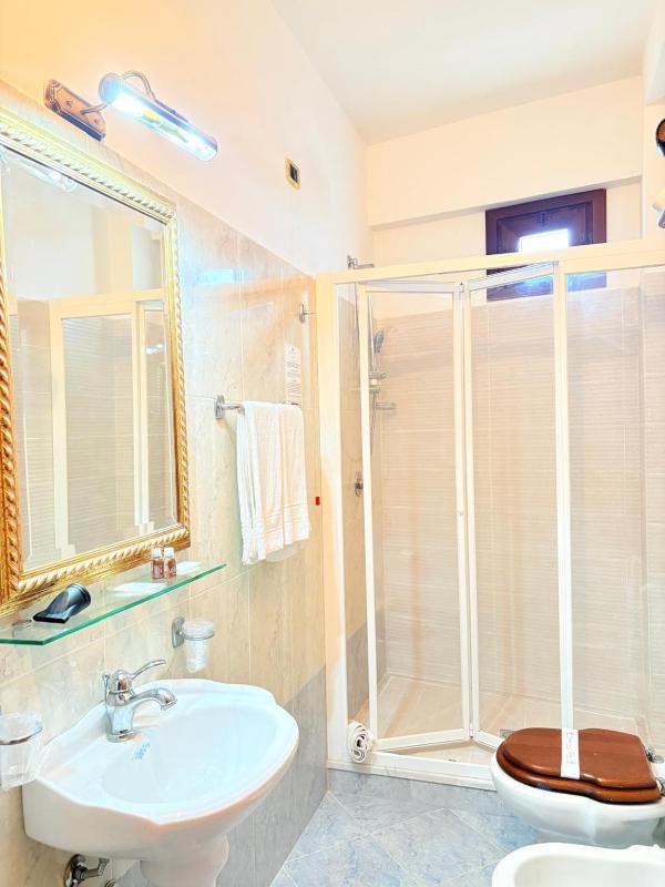 Deluxe Double Room image 3