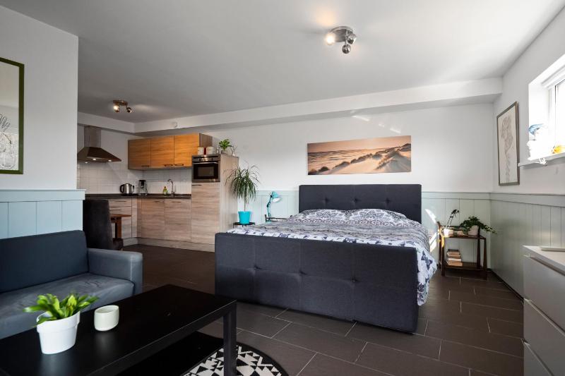 Co's Duyne - Beautiful studio near the dunes of Callantsoog - image 1