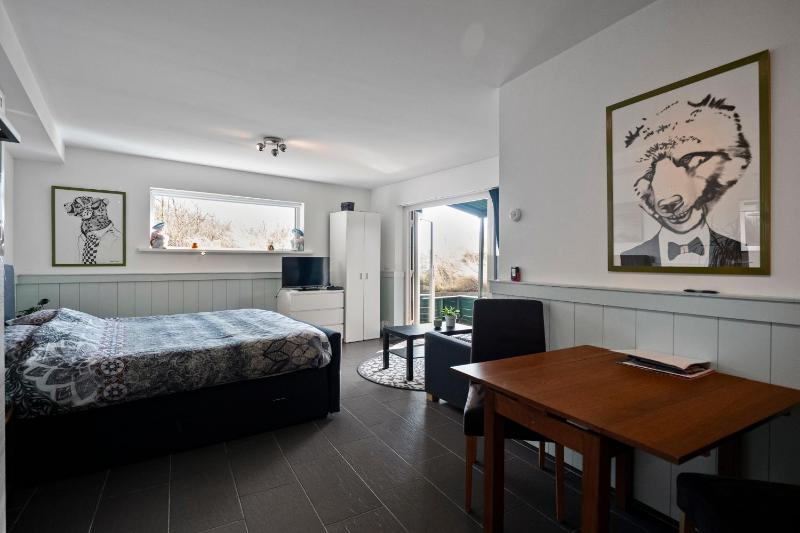 Co's Duyne - Beautiful studio near the dunes of Callantsoog - image 19