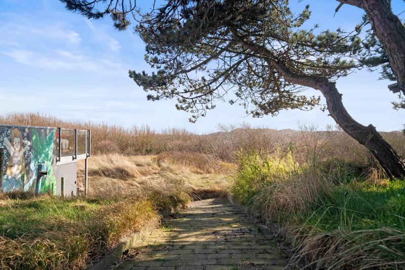 Co's Duyne - Beautiful studio near the dunes of Callantsoog - image 15