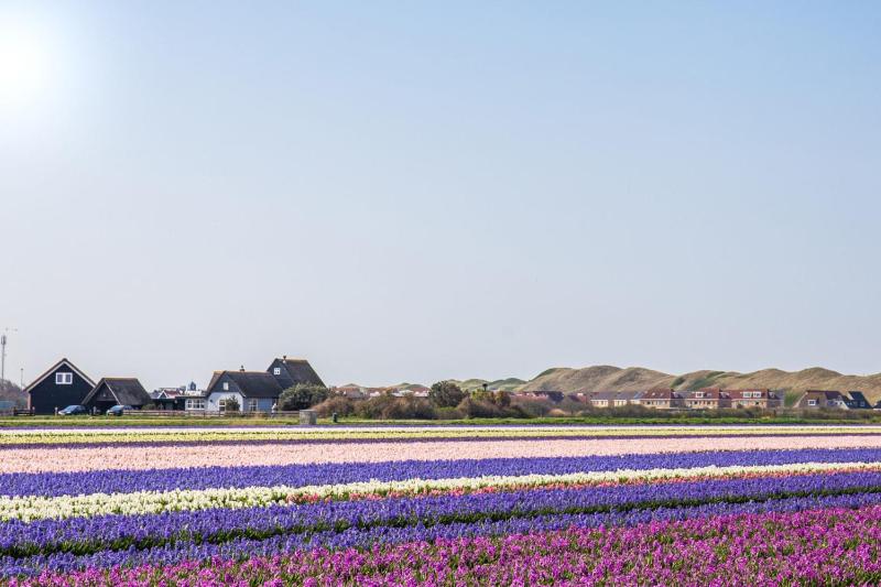 Co's Duyne - Beautiful studio near the dunes of Callantsoog - image 13