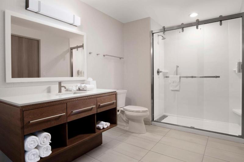 King Studio Suite image 3