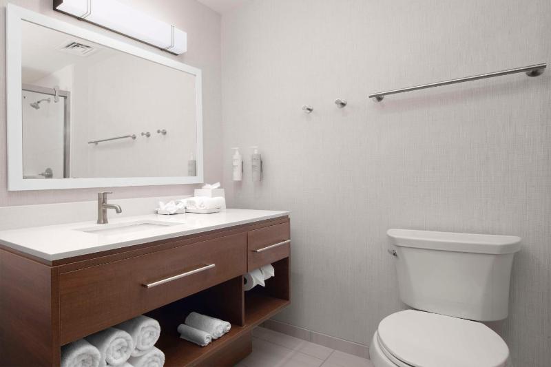 King Studio Suite image 2