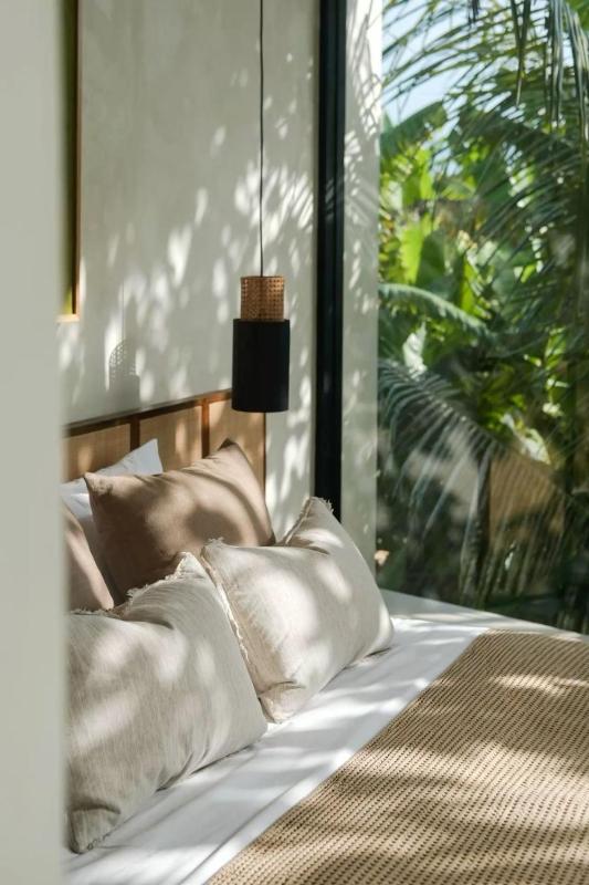 Dhome guest elite - image 13