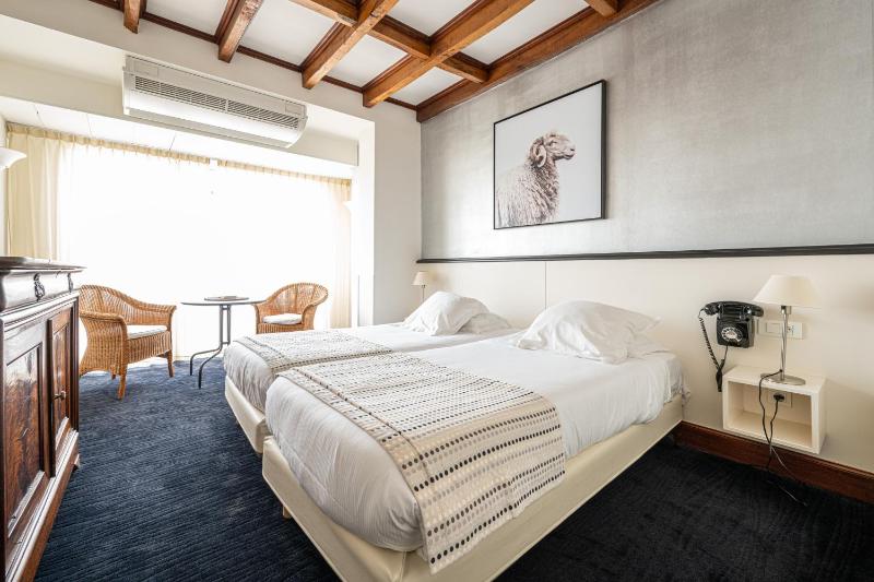Superior Twin Room image 1