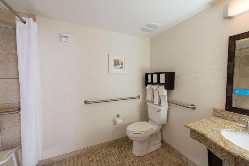 King Suite with Roll-In Shower - Mobility and Hearing Access/Non-Smoking image 2
