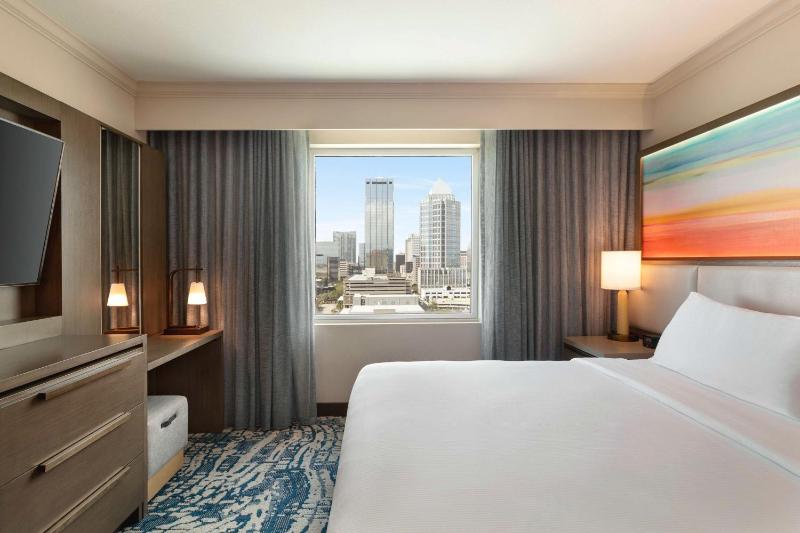King Suite with City View image 3