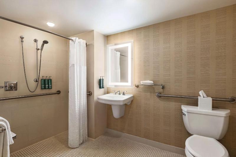 King Room with Roll-In Shower - Hearing Accessible image 2