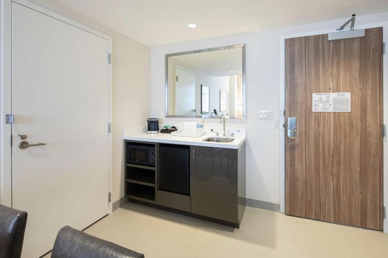 King Studio Suite image 2