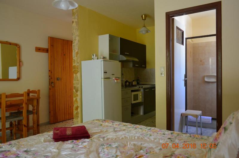 Studio with Terrace image 4