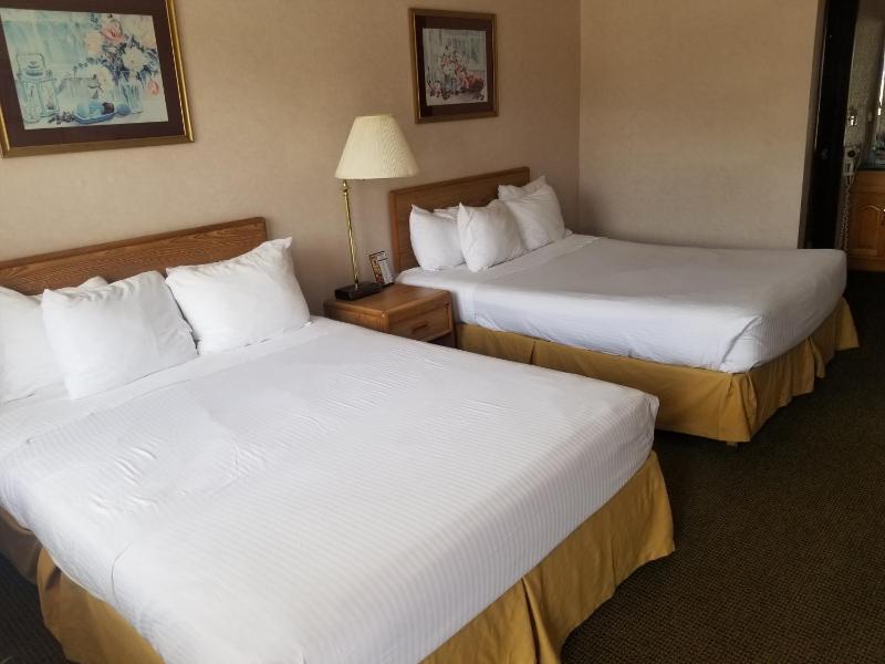 Deluxe Queen Suite image 1