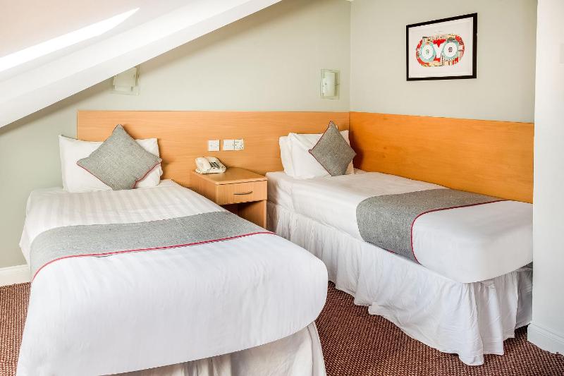 Standard Twin Room image 3
