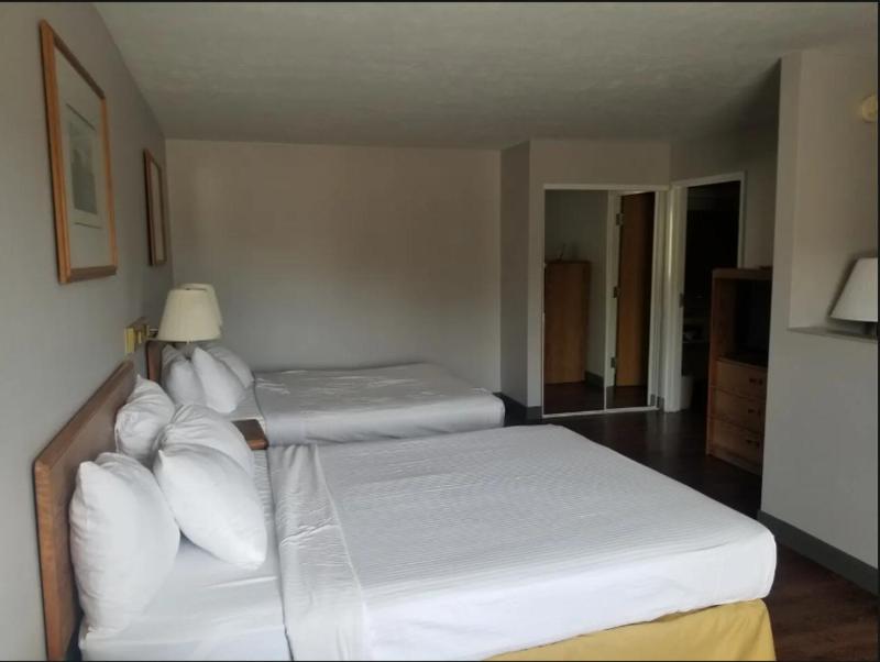 Deluxe Queen Suite image 2