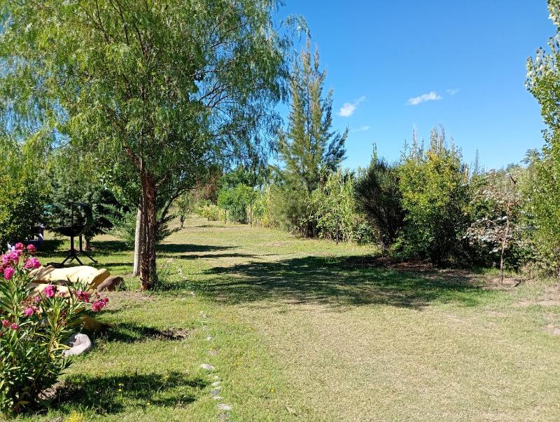 Cabaña Ayirón - image 7