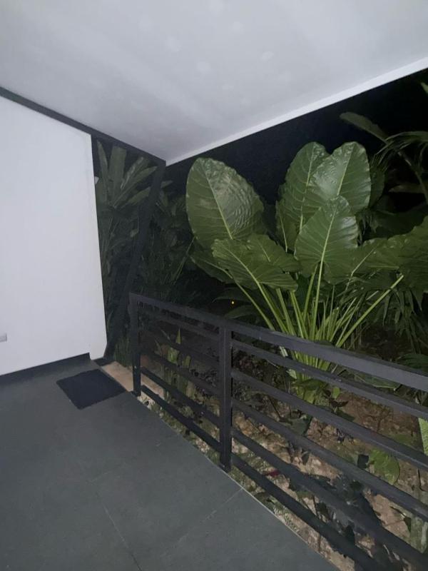 Scala Inn - image 16
