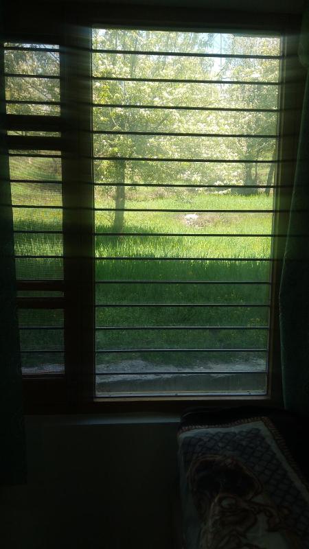 Tranquil Trails Home Stay Naddi - image 20