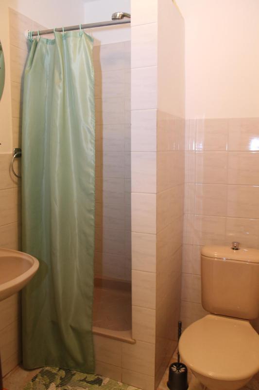 One-Bedroom Apartment image 2
