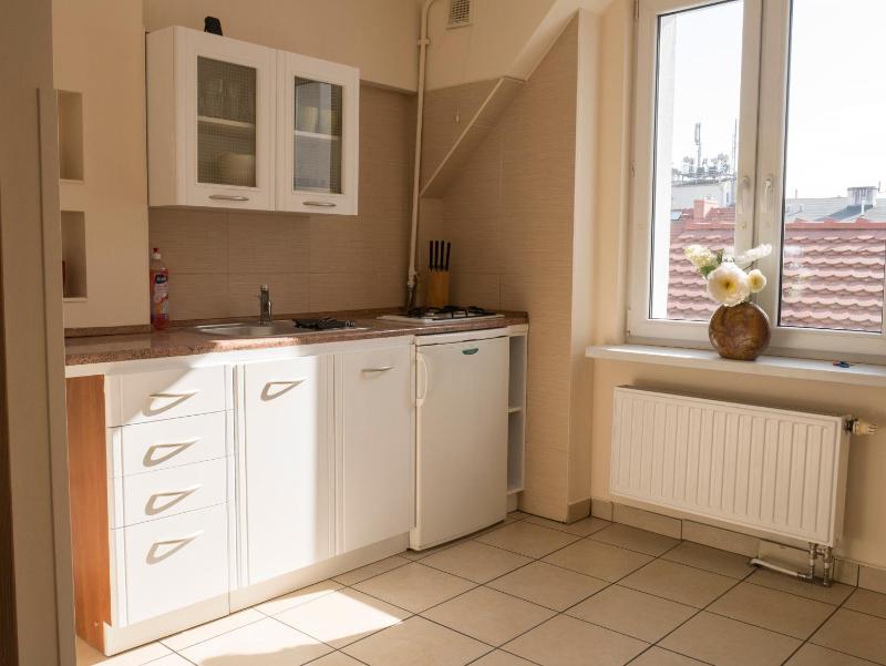 One-Bedroom Apartment image 2