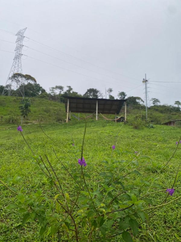Econative Baru - image 11