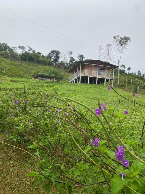 Econative Baru - image 7