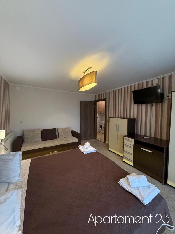 Large Two-Bedroom Apartment image 4
