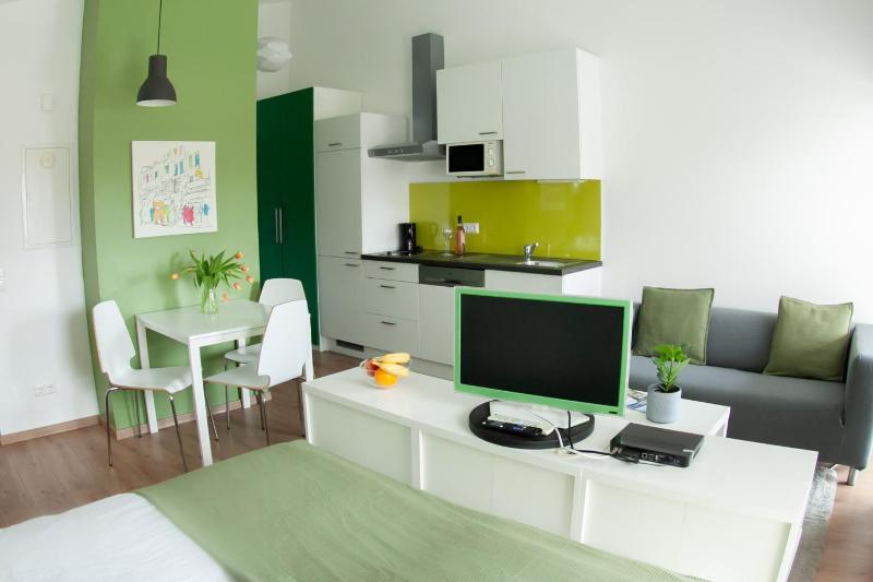 Studio with Garden View image 1