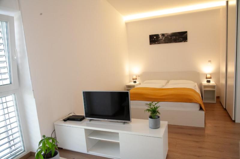 Studio with Balcony image 1