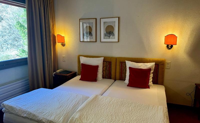 Standard Double or Twin Room image 1