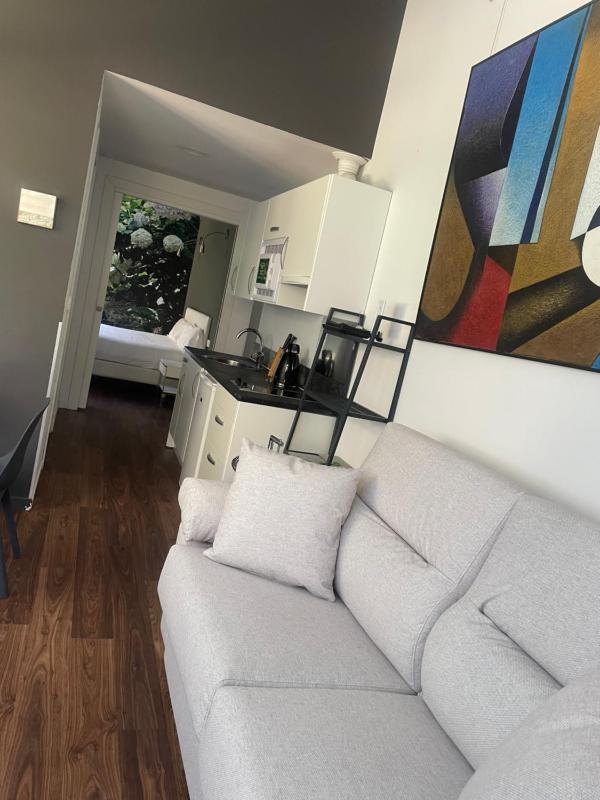 Apartment with Terrace image 4