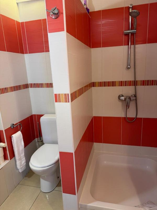 Deluxe Apartment image 3