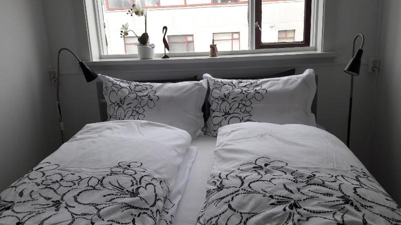 Skólavörðustígur Apartments - image 3