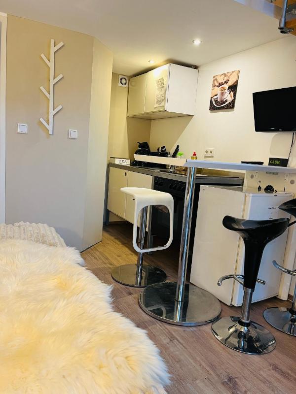 Duplex Apartment image 3