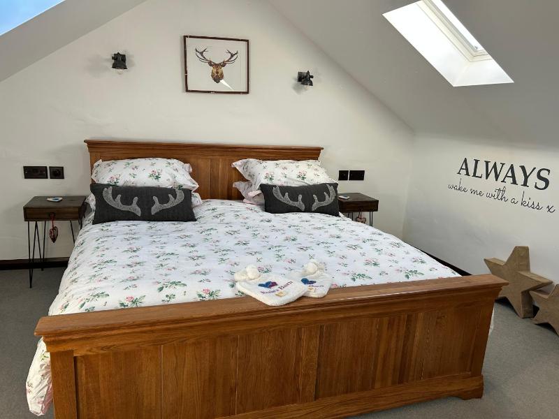 Superior Queen Room image 1