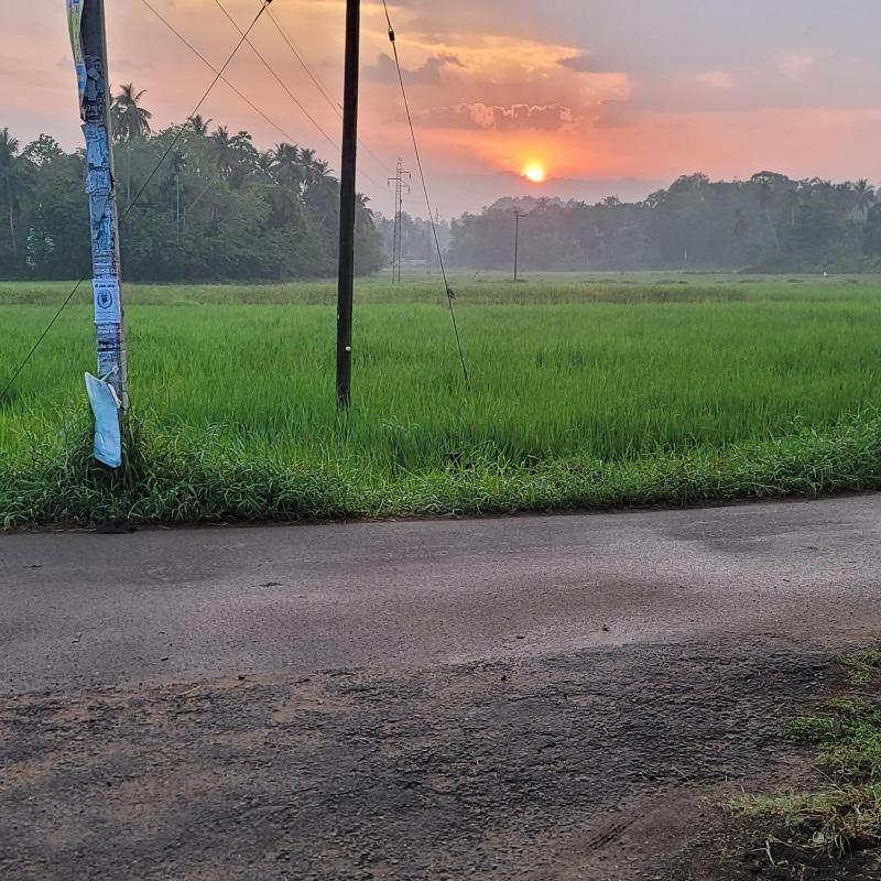 Sampatha Southern Villa & Restaurant & Cooking class -Talalla - image 10