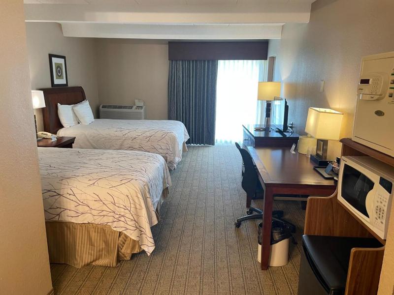 2 Full Bed image 1