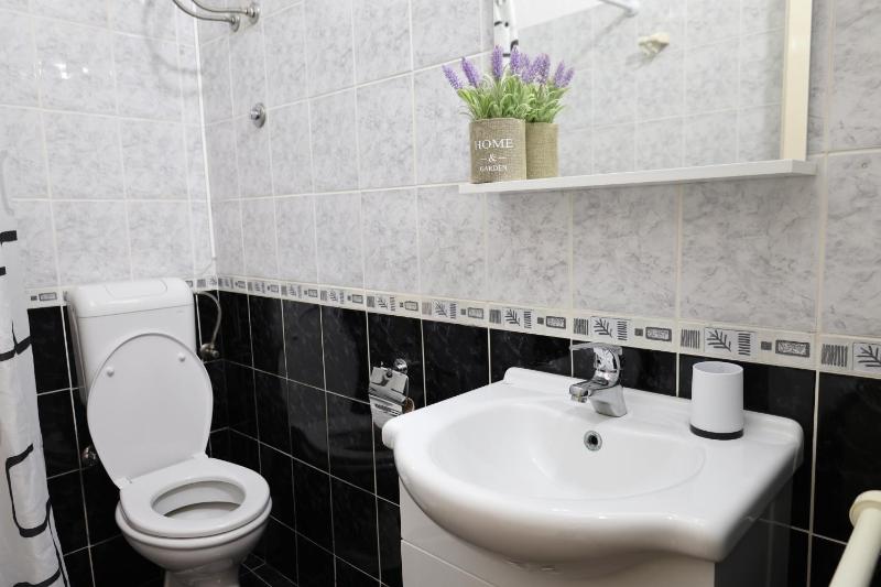 Apartments Moskov - image 3